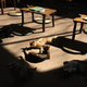 Illustration for article titled Cat Cafes Dont Get Much Cuter Than This